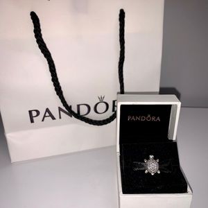 Pandora Charm